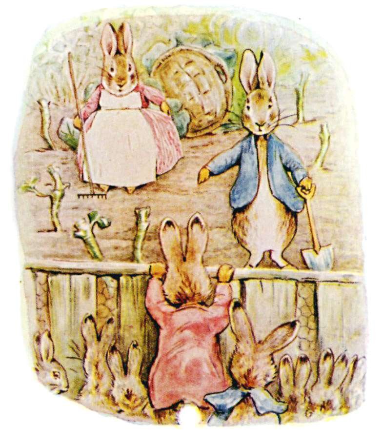 The Tale of Peter Rabbit cover